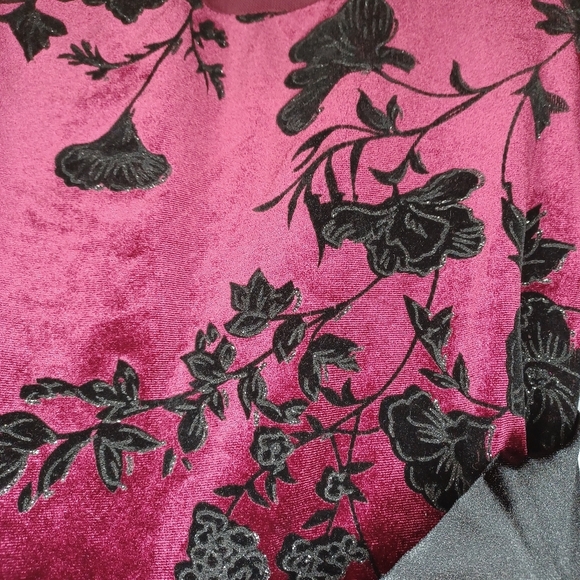 Weissman Dance Costume - Picture 7 of 16